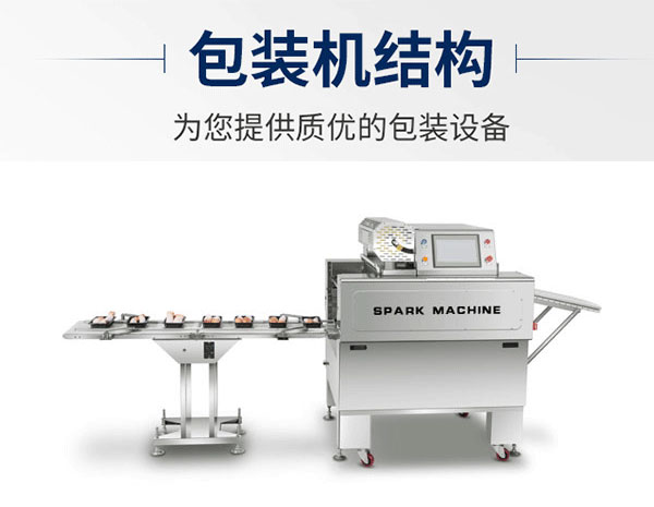 星火調(diào)味醬料給袋式包裝機械展示